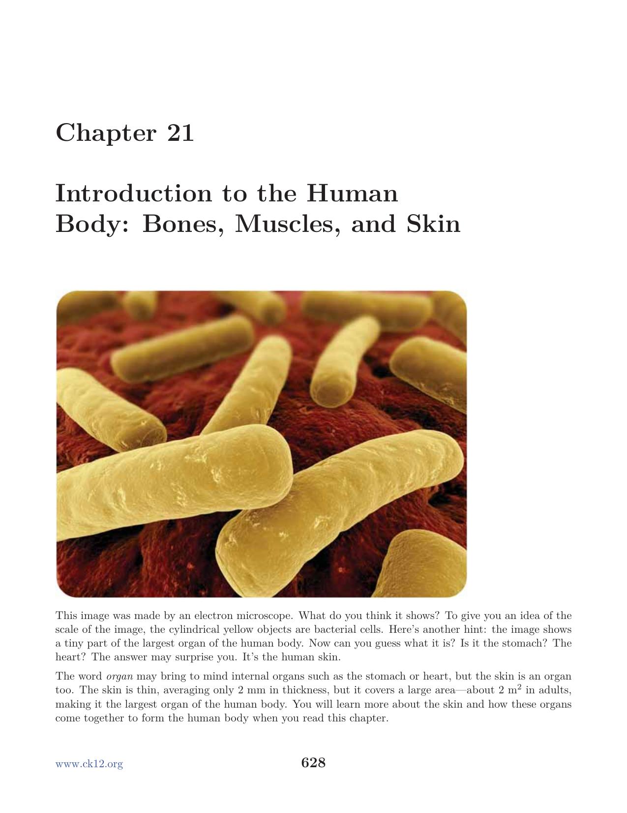 Biology Chapter21